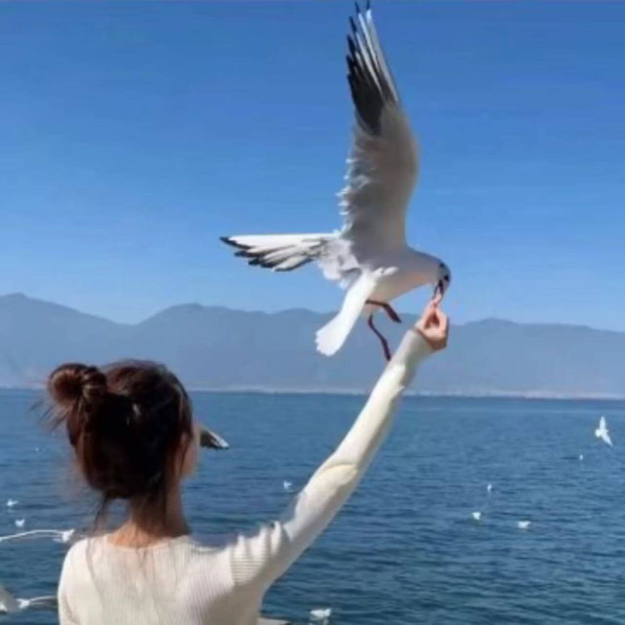 俱乐部头像 4